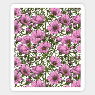 Pink Cosmos flowers Sticker